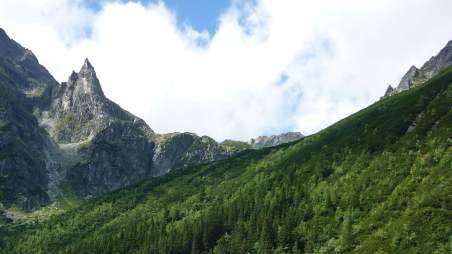 Mnich w Tatrach