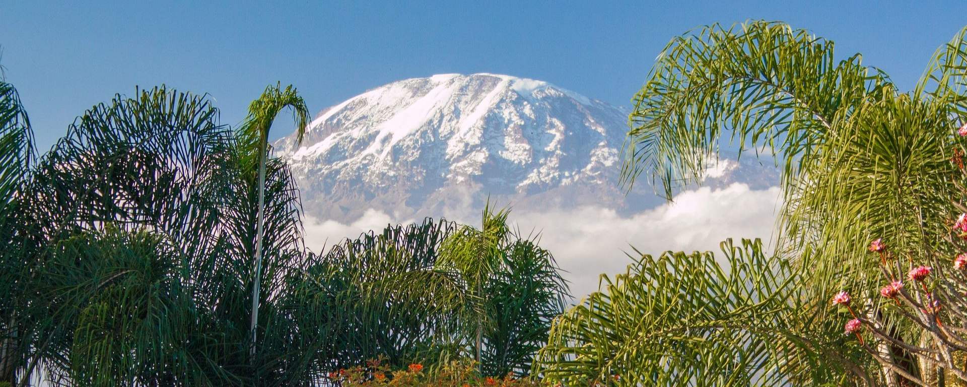 Na stokach Kilimandżaro zainstalowano szybki internet
