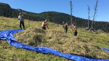 Koszenie górskich łąk w słowackich Tatrach
